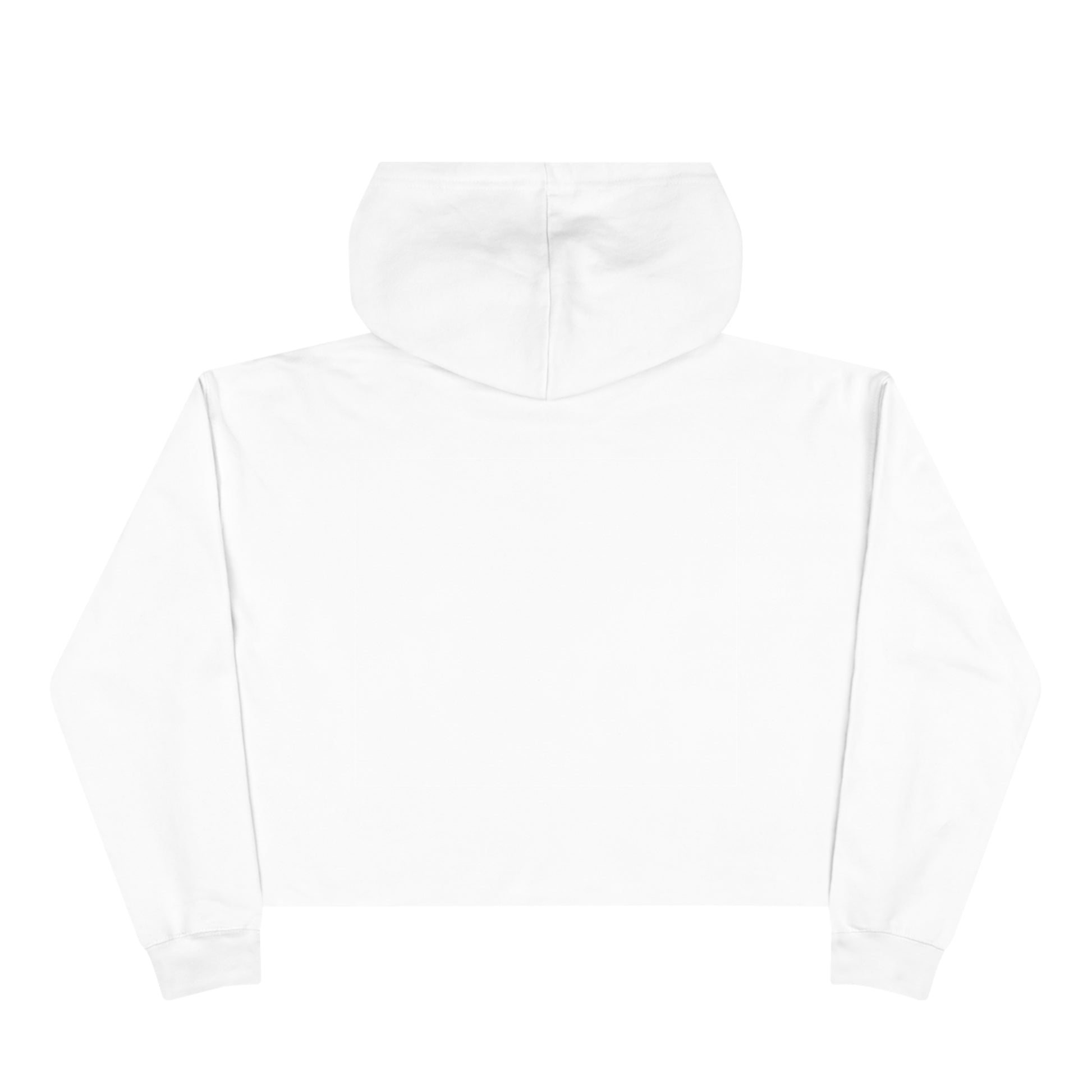 Spitters are Quitters Crop Hoodie