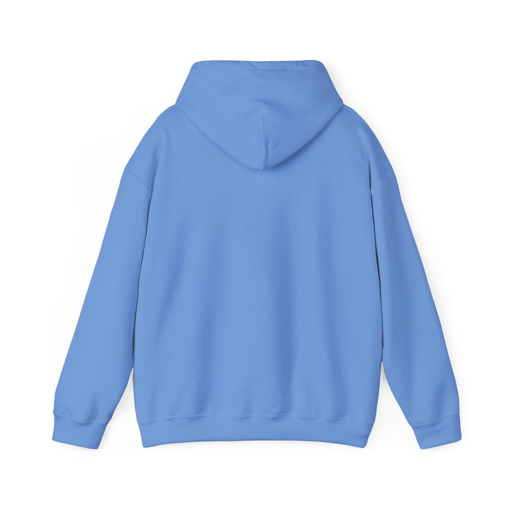 Team Player Unisex Heavy Blend Hoodie