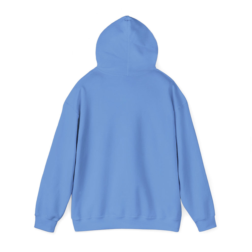 Team Player Unisex Heavy Blend Hoodie